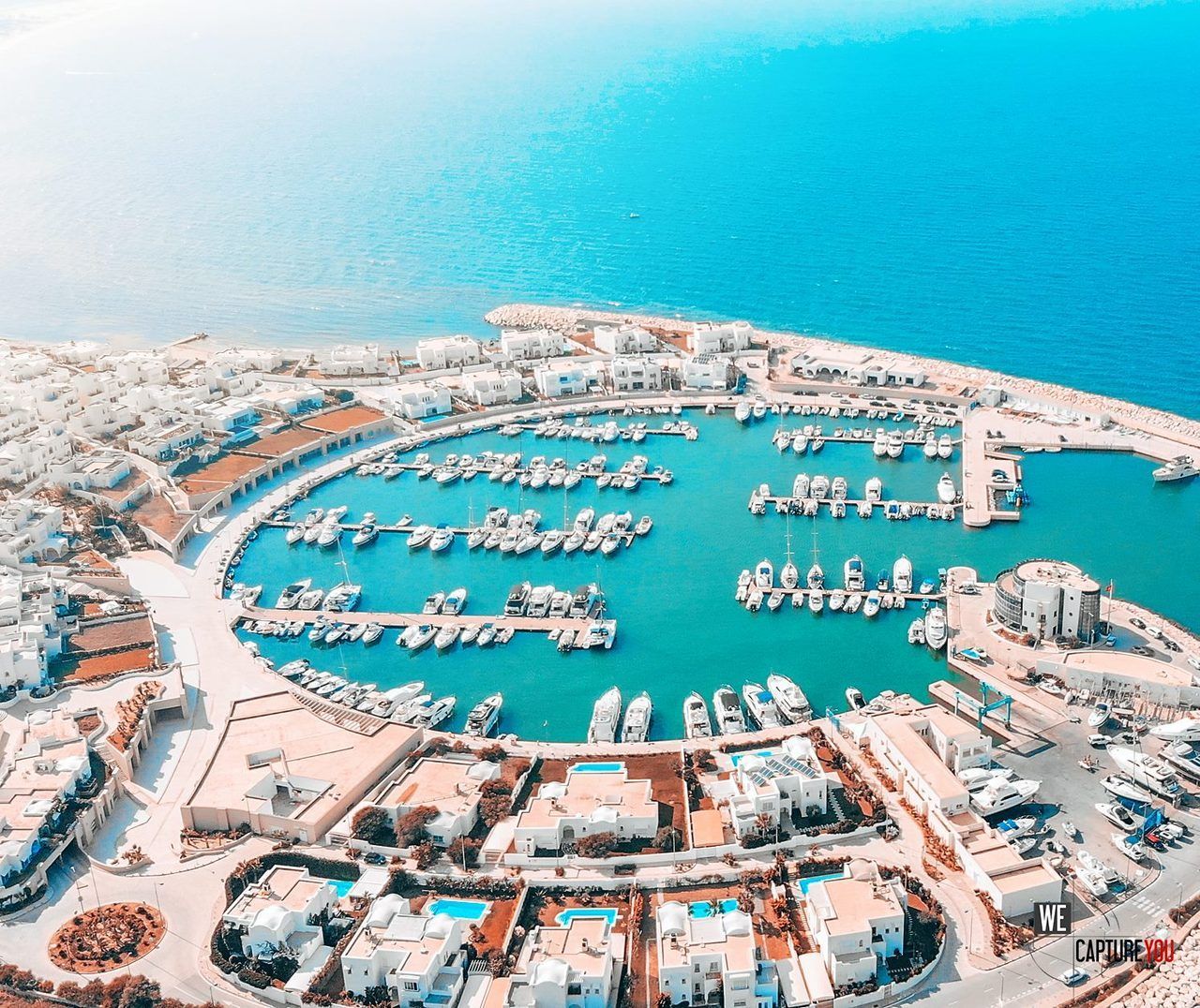 تونس الخضراء